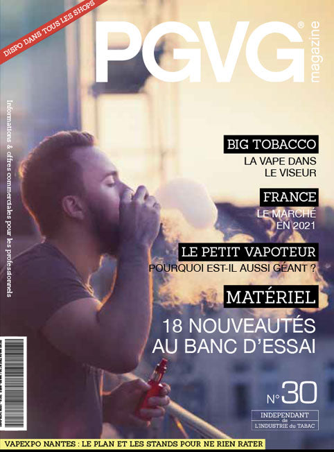 PGVG Magazine issue 30 cover